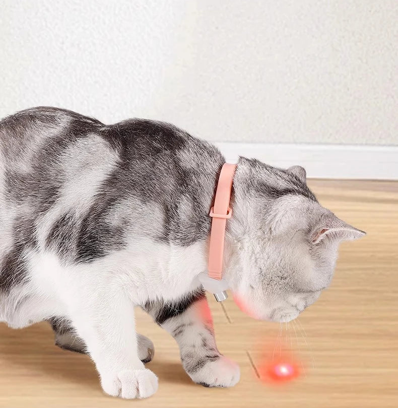 Das smarte Laser-Abenteuer für deine Katze