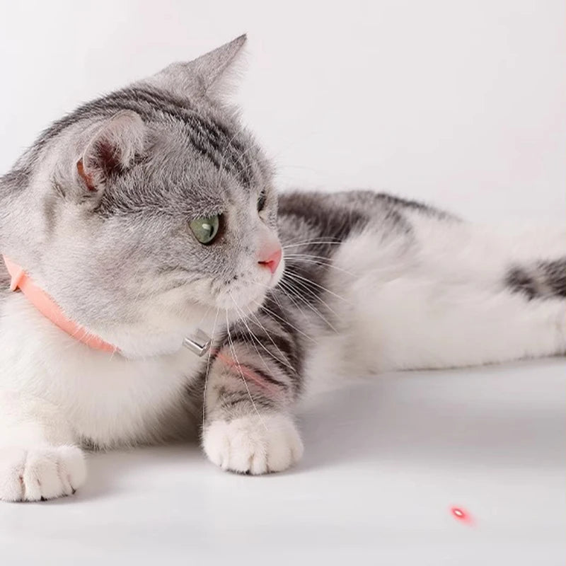 Das smarte Laser-Abenteuer für deine Katze