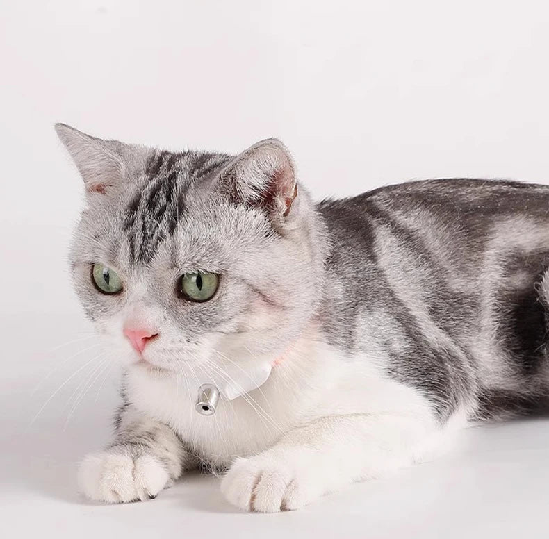 Das smarte Laser-Abenteuer für deine Katze