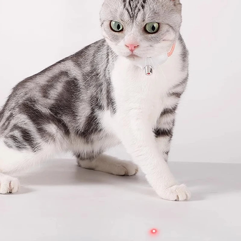 Das smarte Laser-Abenteuer für deine Katze