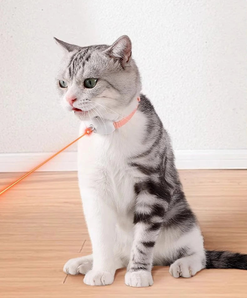 Das smarte Laser-Abenteuer für deine Katze