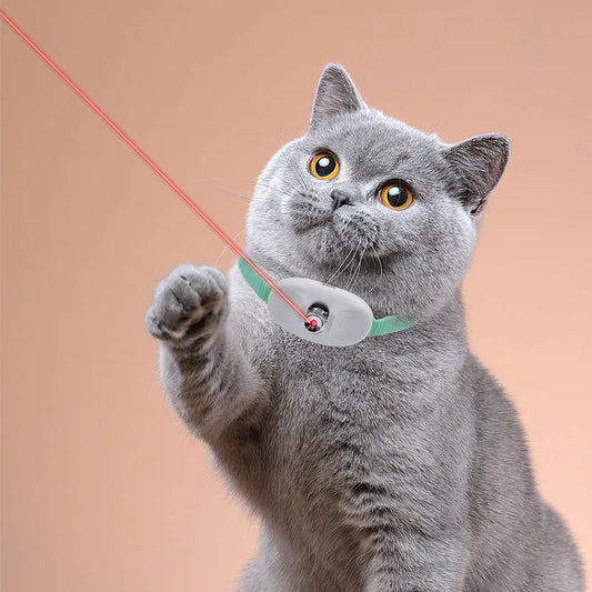 Das smarte Laser-Abenteuer für deine Katze